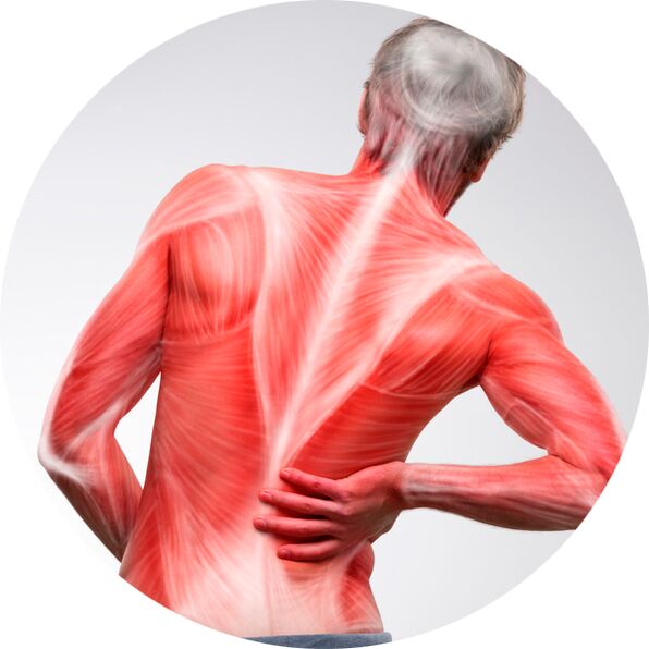 La espalda es una fuente común de dolor muscular y articular para la mayoría de las personas.